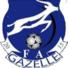 FC加塞列logo